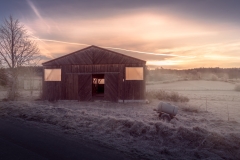 Sweet wakes up on the countryside.