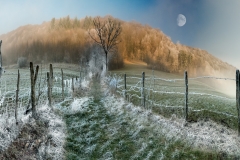 The litle path